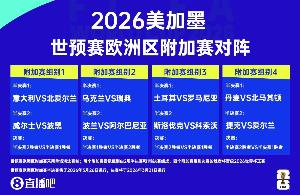 鏡報：愛爾蘭僅獲不到1000張世預賽附加賽門票，賽前機票售罄