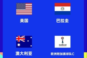 ESPN談世界杯D組：土耳其最可能獲得剩余名額，居萊爾PK普利西奇