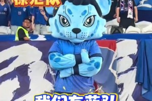 蘇超聯(lián)賽爆火后，網(wǎng)友暢想上海版“滬超” ,“沒有假球,全是世仇!”