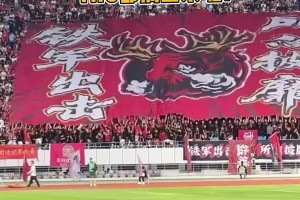 鹽城隊(duì)什么來(lái)頭？球迷這么專業(yè)？Tifo都搞出來(lái)啦！