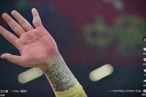 背景有著中國(guó)字樣，王大雷社媒疑似告別國(guó)家隊(duì)：拜拜??