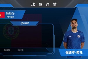 孫興慜球員集錦：進(jìn)球能力超群 職業(yè)素養(yǎng)極佳的韓國(guó)前鋒