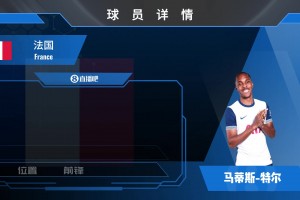 特爾球員集錦：鋒線萬金油 可勝任鋒線所有位置
